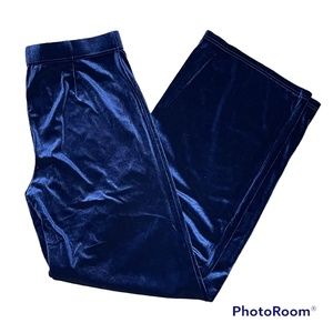 NWT ModCloth Woman’s Velvet Blue Casual Stretch Pants
